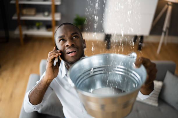 Best Flood restoration services  in Somerset, TX
