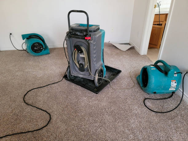 Best 24/7 water damage repair  in Somerset, TX