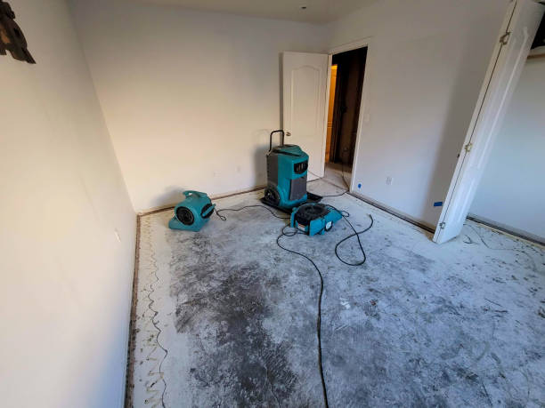 Best Flood damage cleanup  in Somerset, TX