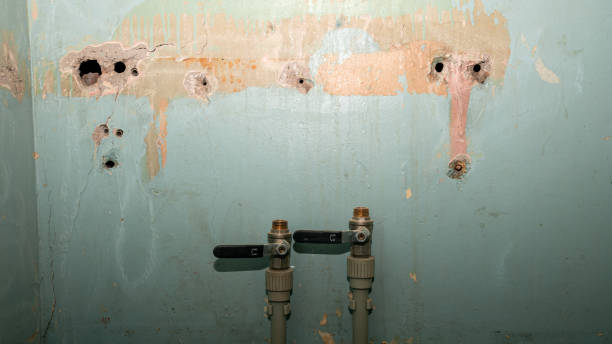 Best Ceiling water damage repair  in Somerset, TX